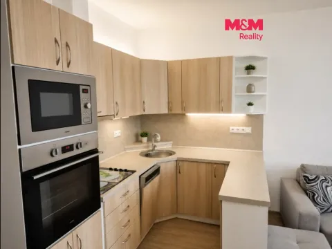 Pronájem bytu 1+1, Děčín - Děčín II-Nové Město, Dvořákova, 40 m2