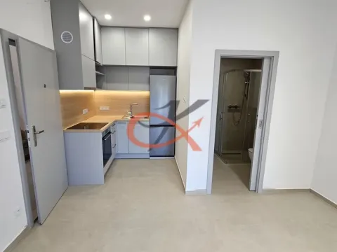 Pronájem bytu 1+kk, Šenov u Nového Jičína, Jeremenkova, 20 m2