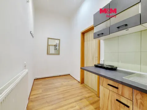 Pronájem bytu 1+kk, Františkovy Lázně, Anglická, 30 m2