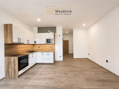 Prodej bytu 2+kk, Šternberk, Čechova, 45 m2