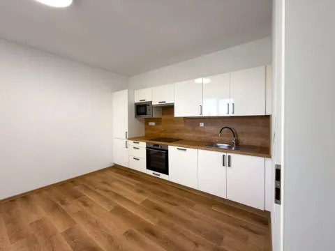 Pronájem bytu 2+kk, České Budějovice - České Budějovice 2, K. Chocholy, 42 m2