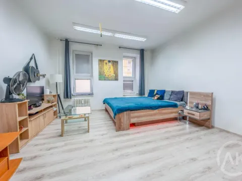 Pronájem bytu 1+kk, Ostrava - Moravská Ostrava, Jílová, 39 m2
