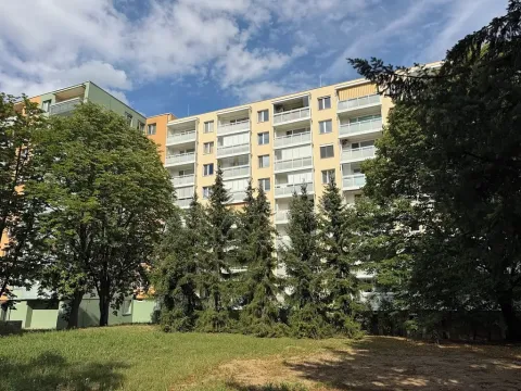 Prodej bytu 2+kk, Brno, Ukrajinská, 45 m2