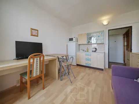Pronájem bytu 1+kk, Jindřichův Hradec, sídliště U Nádraží, 20 m2