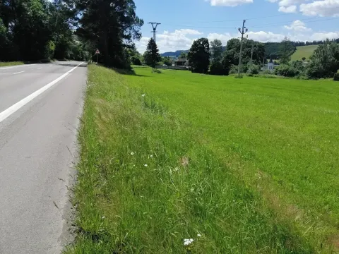Prodej komerčního pozemku, Dlouhá Třebová, 6780 m2