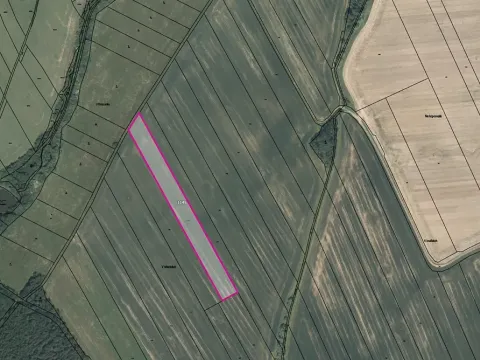 Prodej pole, Podluhy, 11602 m2
