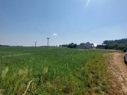 Prodej pozemku pro bydlení, Pavlov, 32279 m2