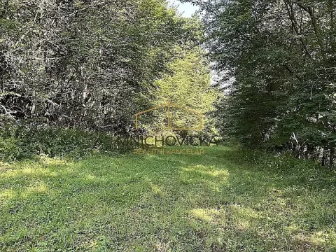 Prodej sadu/vinice, Ondřejov, Břeský vrch, 3453 m2