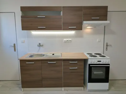 Pronájem bytu 1+1, Karlovy Vary - Stará Role, Závodu míru, 54 m2