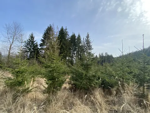 Prodej louky, Městečko Trnávka - Lázy, 1410 m2