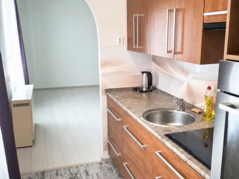 Pronájem bytu 1+1, Ostrava, Senovážná, 38 m2