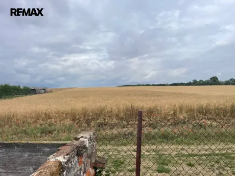 Prodej pozemku pro bydlení, Nové Syrovice, 1675 m2