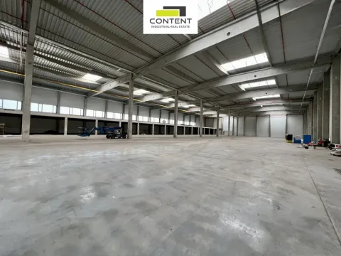 Pronájem výrobních prostor, Hustopeče, Brněnská, 23000 m2