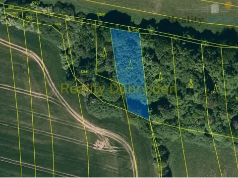 Prodej lesa, Hradec nad Moravicí - Benkovice, 1839 m2