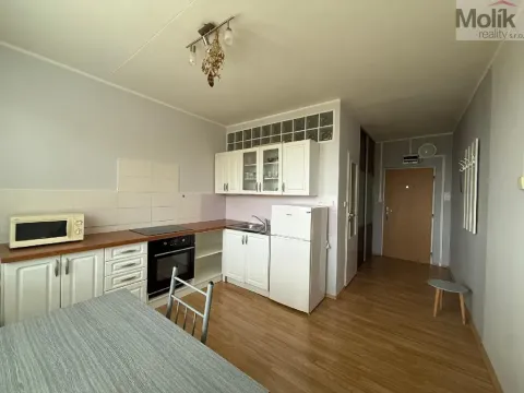 Pronájem bytu 1+1, Litvínov - Horní Litvínov, U Zámeckého parku, 35 m2