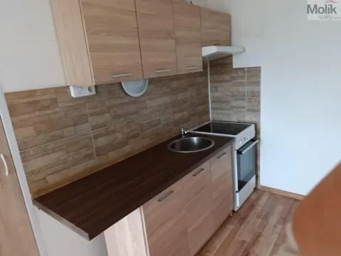 Prodej bytu 1+kk, Ústí nad Labem - Krásné Březno, V Oblouku, 32 m2