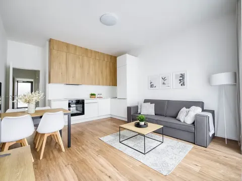 Pronájem bytu 2+kk, Praha - Karlín, Thámova, 46 m2