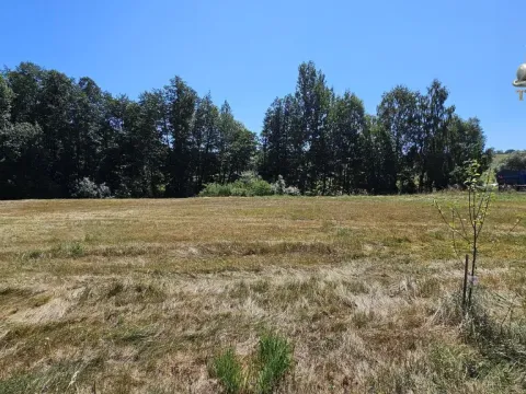 Prodej pozemku pro bydlení, Nová Cerekev - Chmelná, 955 m2