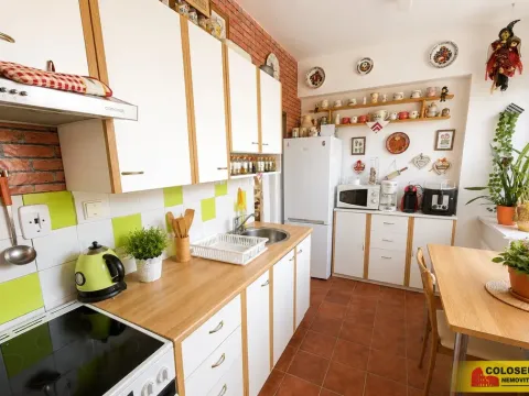 Prodej bytu 2+1, Třebíč, Řípovská, 44 m2
