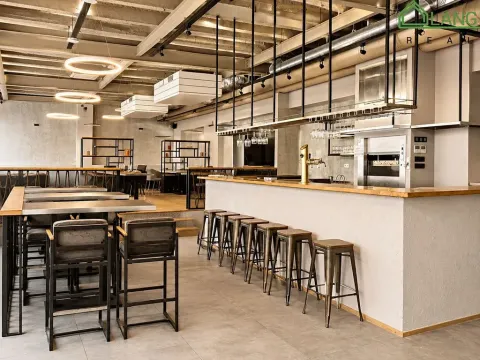 Pronájem restaurace, Brno, Dominikánské náměstí, 487 m2