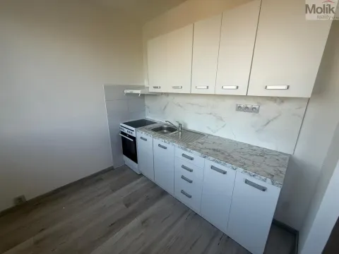 Pronájem bytu 1+1, Most, Javorová, 34 m2