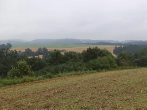 Dražba louky, Radkov, 1834 m2