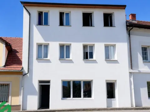 Pronájem vícegeneračního domu, Praha - Libeň, Na hrázi, 400 m2