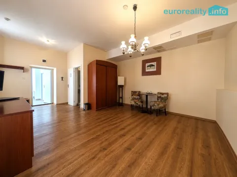 Pronájem obchodního prostoru, Plzeň, Zbrojnická, 30 m2