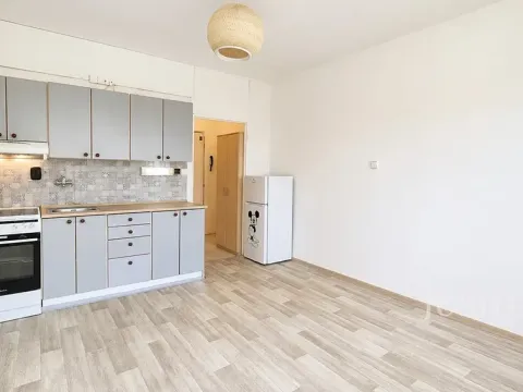 Pronájem bytu 1+kk, Písek, 17. listopadu, 19 m2
