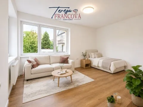 Pronájem bytu 1+1, Prostějov, Riegrova, 43 m2