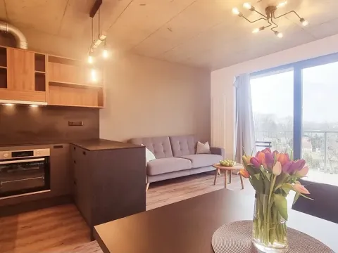 Pronájem bytu 2+kk, Brno, V rejích, 49 m2