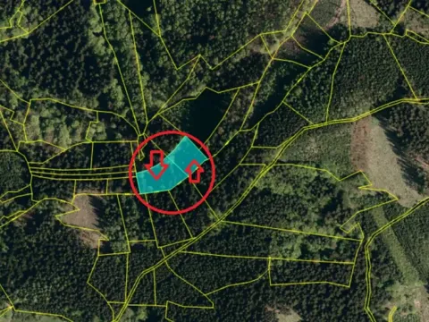 Prodej podílu lesa, Valašská Polanka, 1373 m2