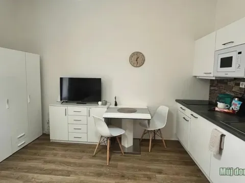 Pronájem bytu 1+kk, Praha - Nové Město, Petrská, 30 m2