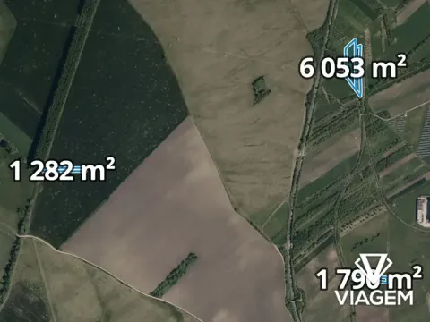 Prodej podílu pole, Velká nad Veličkou, 1948 m2