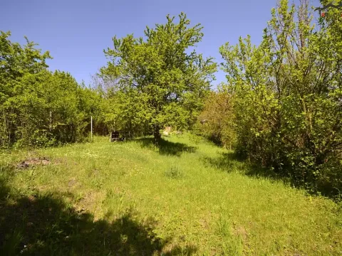 Prodej zahrady, Hostěrádky-Rešov, 705 m2