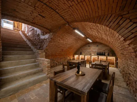 Pronájem vinného sklepa, Hodonice, Janská, 50 m2