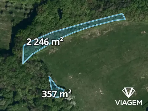 Prodej podílu lesa, Bohuslavice nad Vláří, 1301 m2