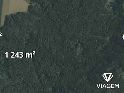 Prodej lesa, Římov, 1365 m2