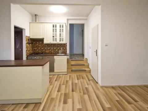 Pronájem bytu 2+kk, Líně, Plzeňská, 42 m2