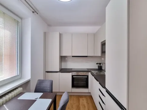 Pronájem bytu 2+1, Lovosice, Sady pionýrů, 56 m2
