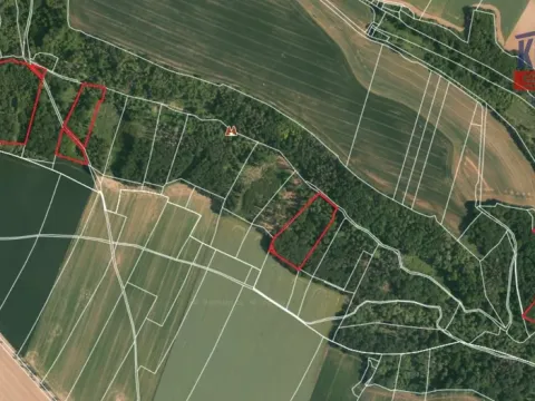 Prodej lesa, Chorušice - Velký Újezd, 58553 m2