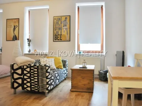 Pronájem bytu 1+kk, České Budějovice - České Budějovice 3, Klaricova, 36 m2