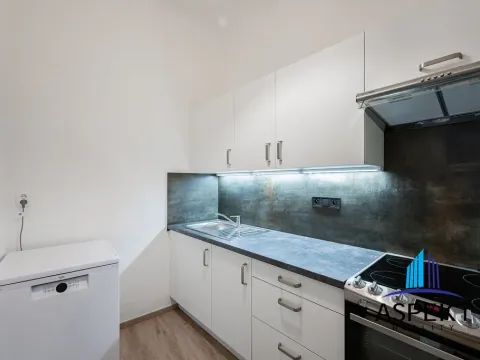 Pronájem bytu 2+1, Praha - Vinohrady, Jana Masaryka, 70 m2