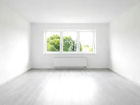 Pronájem bytu 3+kk, Olešná, 102 m2