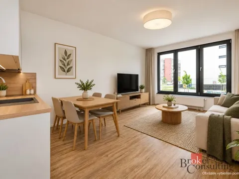 Pronájem bytu 1+kk, Plzeň - Jižní Předměstí, Železná, 31 m2