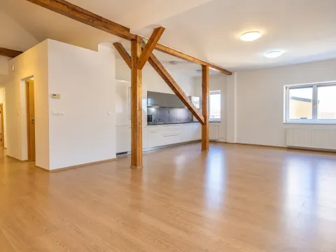 Pronájem bytu 4+kk, Brno - Brno-město, Panská, 111 m2