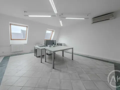 Pronájem kanceláře, Ostrava - Přívoz, Libušina, 29 m2