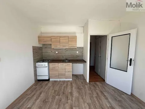 Pronájem bytu 1+1, Litvínov - Horní Litvínov, B. Němcové, 35 m2