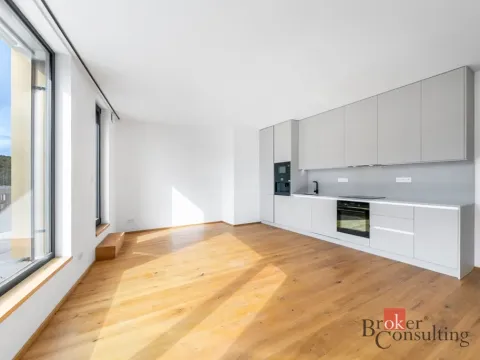 Pronájem bytu 3+kk, Praha - Košíře, Starokošířská, 72 m2