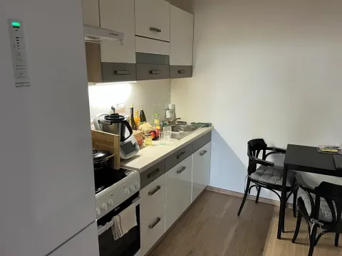 Pronájem bytu 1+kk, Jeseník, Masarykovo nám., 40 m2